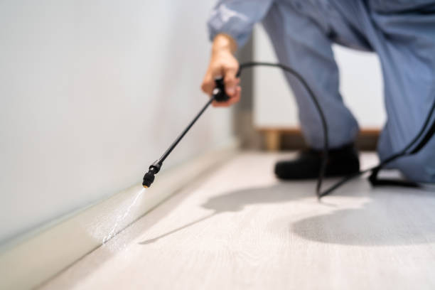 Rodent Entry Point Assessment in Danville