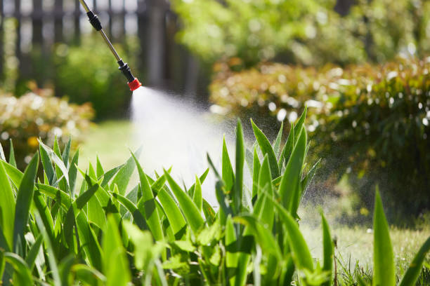 Tamper-Resistant Bait Stations for Rodents in Danville