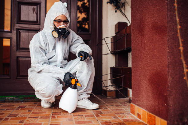 Attic and Crawl Space Rodent Treatment in Danville